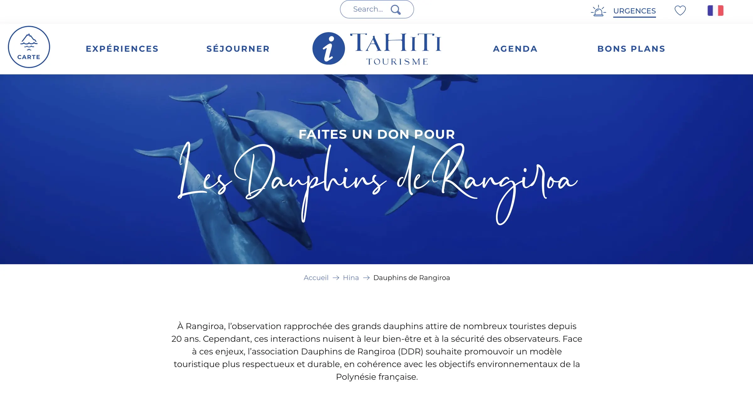 Le projet de l'association Dauphins de Rangiroa sélectionné par Tahiti Tourisme